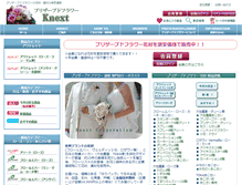 Tablet Screenshot of knext-co.com